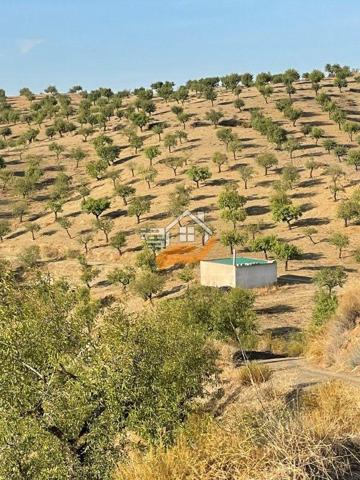 Chalet en venta en Vélez-Rubio, Velez-Rubio photo 0