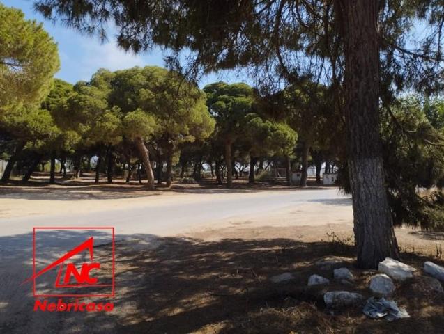 Chalet en venta en Chipiona, Chipiona photo 0