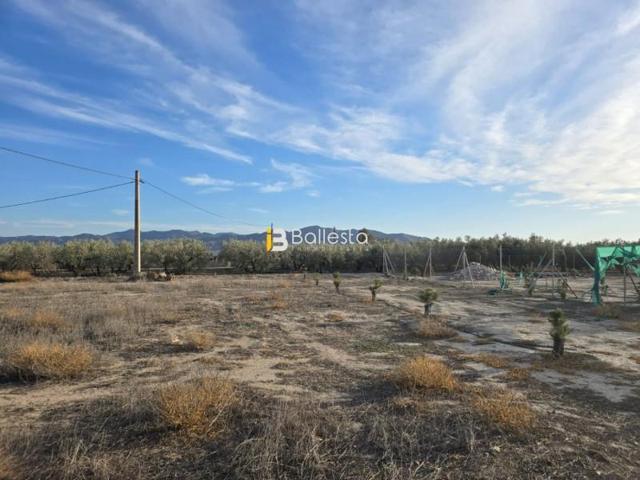 Terreno en venta en Huércal-Overa, El Saltador photo 0