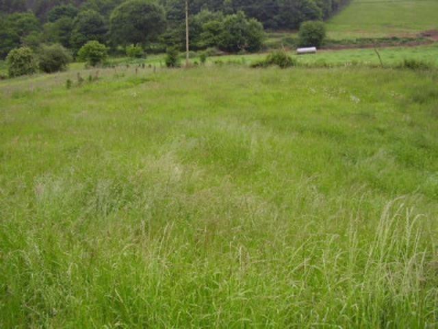 Terreno en venta en Las Regueras, Las Regueras photo 0