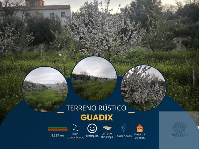 Casa con terreno en venta en Guadix photo 0