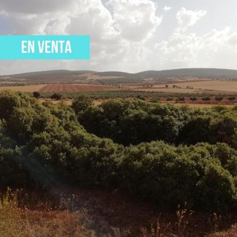 Terreno en venta en Santa Cruz de Mudela, LAS VIRTUDES photo 0