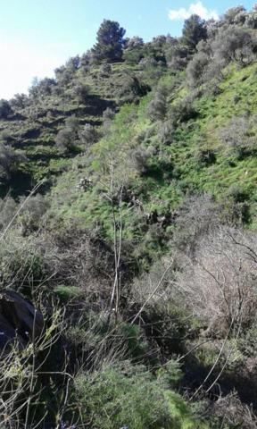 Chalet en venta en Torrox, Pueblo photo 0