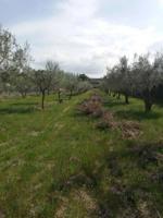 Terreno en venta en Castalla, Castalla photo 0