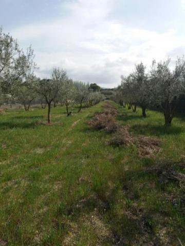 Terreno en venta en Castalla, Castalla photo 0