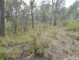 Terreno en venta en Tibi, Tibi photo 0