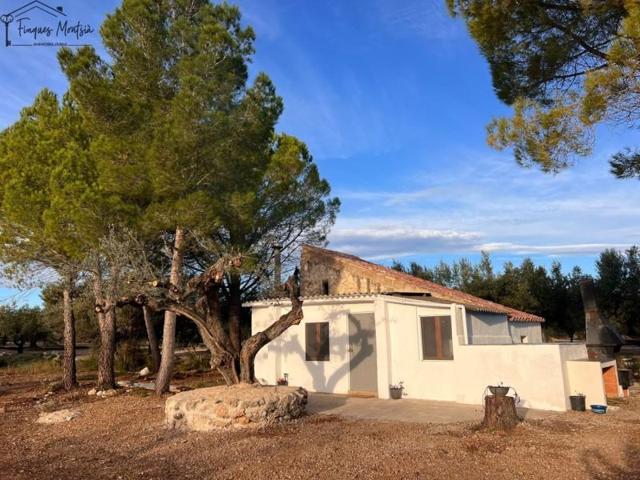 Chalet en venta en Ulldecona, Ulldecona photo 0