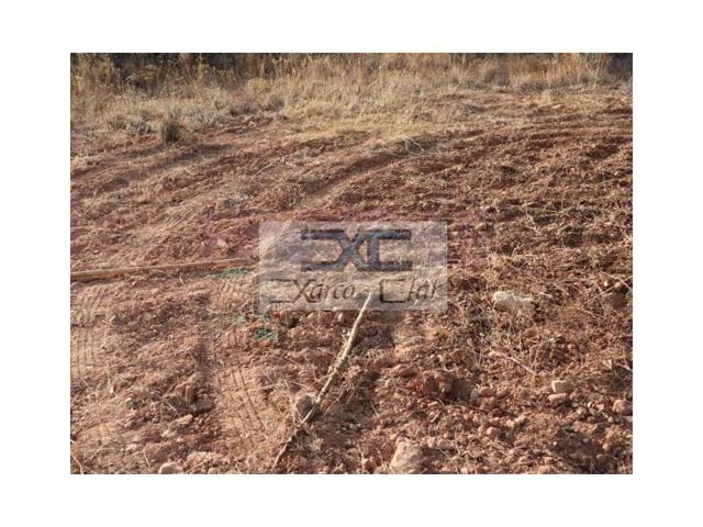 Terreno en venta en Catadau photo 0