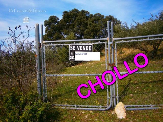 Chalet en venta en Ronda, Ronda photo 0