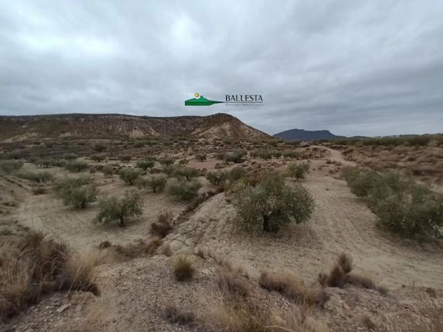 Chalet en venta en Zurgena, Zurgena photo 0