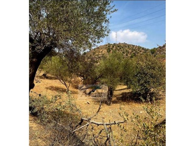 Terreno en venta en Alora photo 0