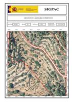 Chalet en venta en Culla, Culla photo 0