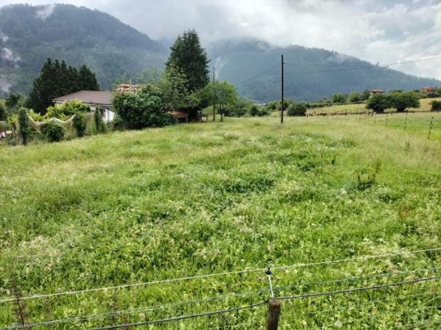 Terreno en venta en Candamo, Candamo photo 0