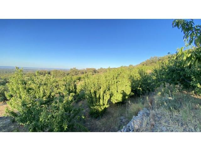 Chalet en venta en Barrado photo 0