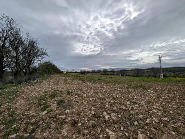 Terreno en venta en Loja, Cuesta La Palma photo 0
