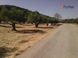 Terreno en venta en Jaén, Afueras de Jaen photo 0