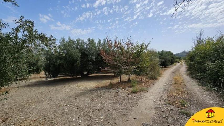 Chalet en venta en Alcalá la Real, Alcala La Real photo 0