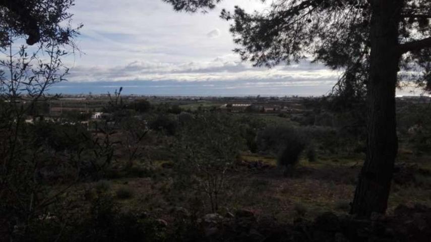 Terreno en venta en Benicarló, CORRAL DEL PITIQUILLO photo 0