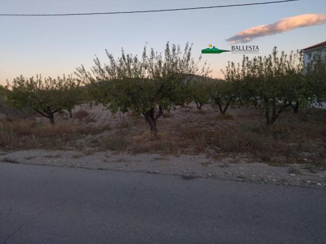 Terreno en venta en Huércal-Overa, Las Labores photo 0