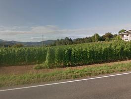 Chalet en venta en Coaña, Coana photo 0