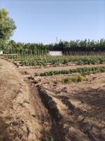 Chalet en venta en Tudela, Tudela photo 0