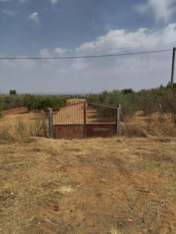 Chalet en venta en Écija, Periferia Ciudad photo 0