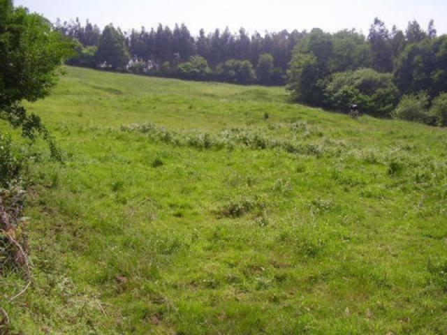 Terreno en venta en Candamo, Candamo photo 0