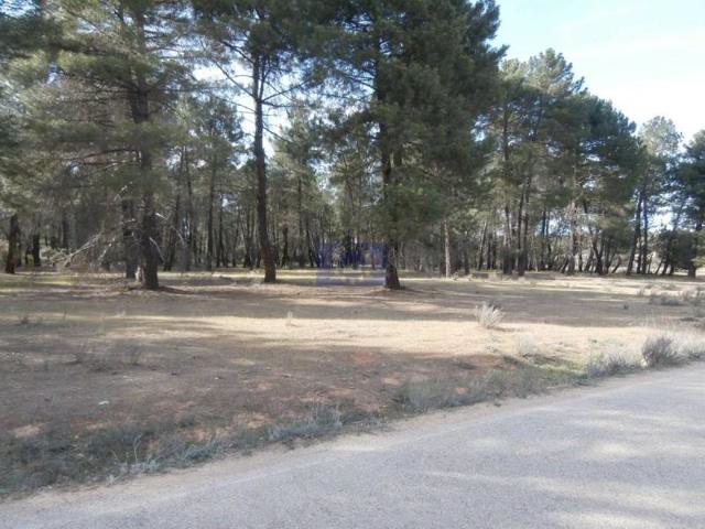 Terreno en venta en Chillarón de Cuenca, Jabaga photo 0