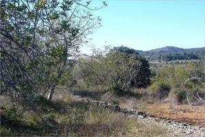 Chalet en venta en Cervera del Maestre, Cervera Del Maestre photo 0