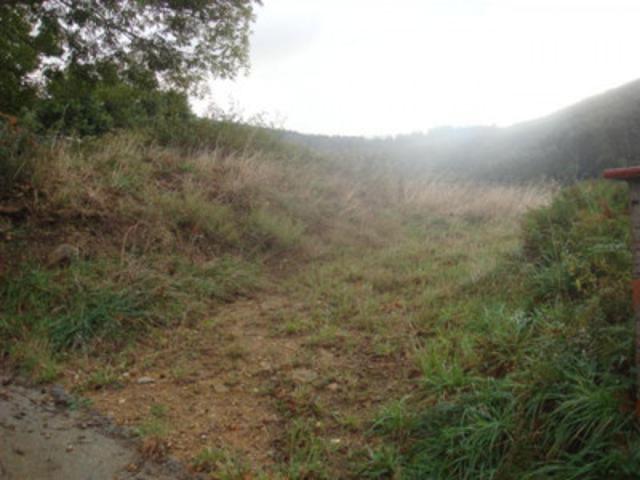 Terreno en venta en Villaviciosa, Peon photo 0