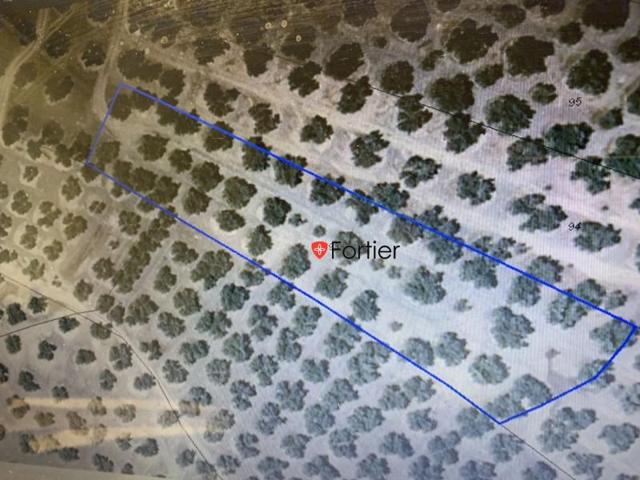 Chalet en venta en Martos, Martos photo 0