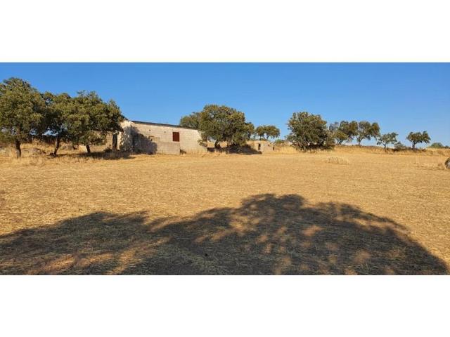 Terreno en venta en Dos Torres photo 0