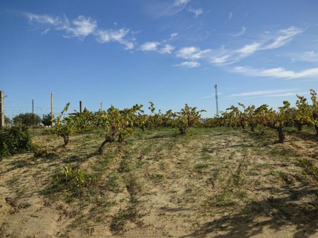 Terreno en venta en Rociana del Condado, Rociana Del Condado photo 0