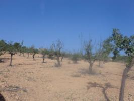 Terreno en venta en Náquera, Naquera photo 0