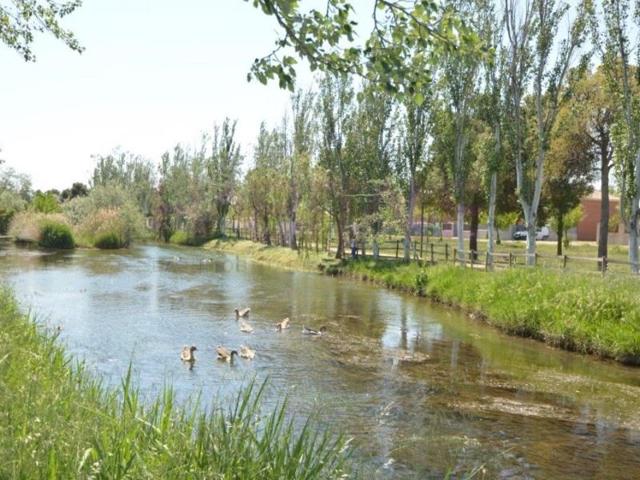 Terreno en venta en Pinseque photo 0