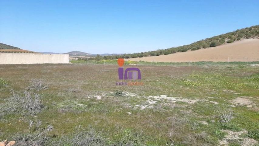 Chalet en venta en Santa Cruz de Mudela, Santa Cruz De Mudela photo 0