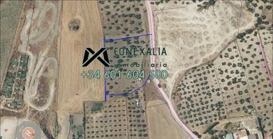 Chalet en venta en Olvera, Ensanche photo 0