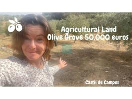 Terreno en venta en Priego de Córdoba photo 0