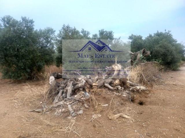 Terreno en venta en Utrera, Centro photo 0