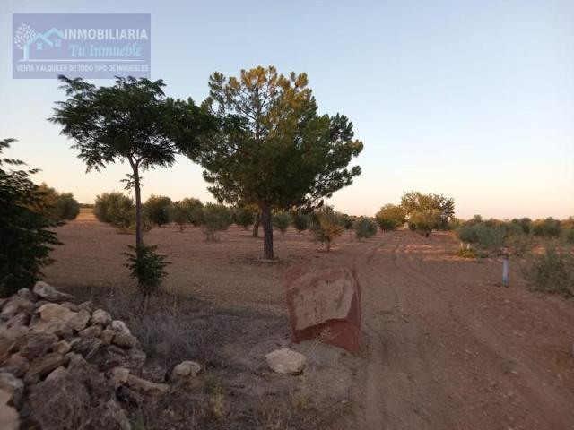 Terreno en venta en Alcázar de San Juan photo 0