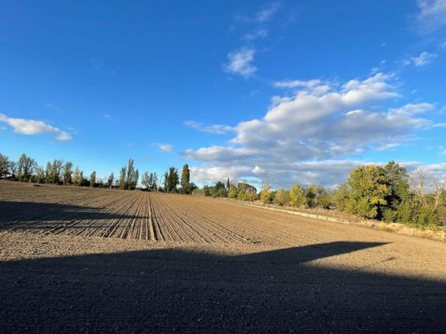 Terreno en venta en Laguna de Duero, Prado Boyal photo 0