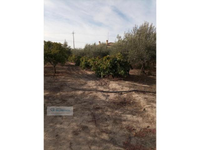 Chalet en venta en Villanueva de la Serena photo 0