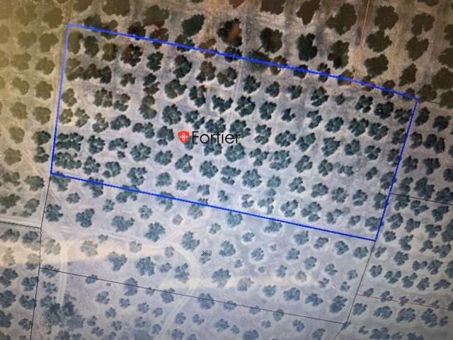 Chalet en venta en Fuensanta de Martos, Fuensanta De Martos photo 0