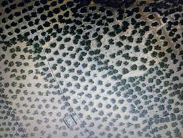 Chalet en venta en Martos, Martos photo 0