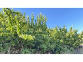 Chalet en venta en Barrado photo 0