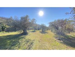 Chalet en venta en Barrado photo 0