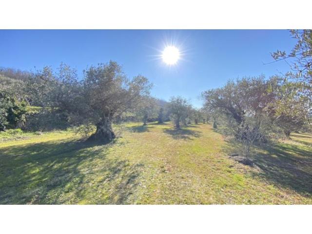 Chalet en venta en Barrado photo 0