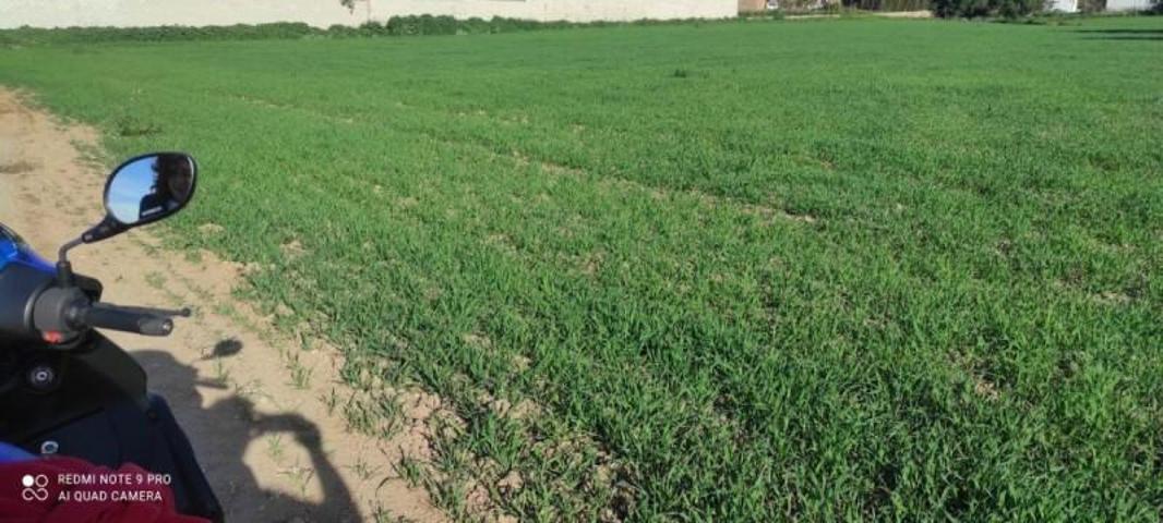 Terreno en venta en Arcos de la Frontera, Arcos De La Frontera photo 0