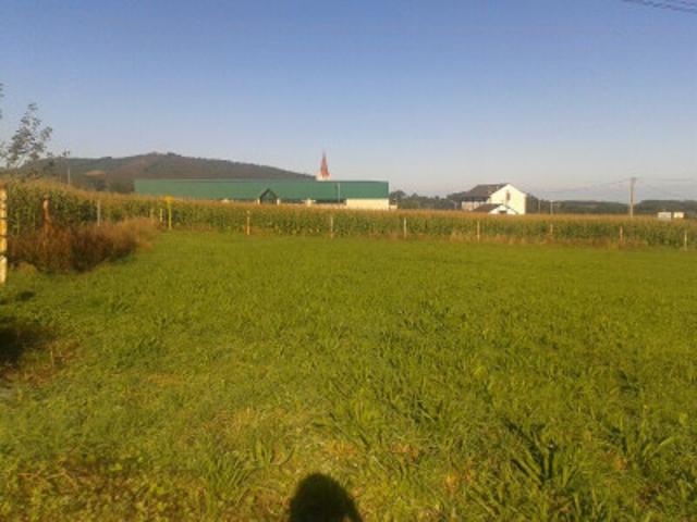 Chalet en venta en Valdés, Otur photo 0