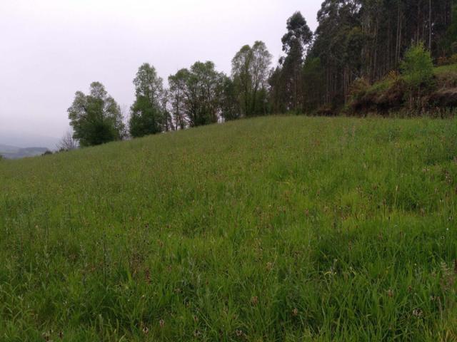 Chalet en venta en Coaña, Jarrio photo 0